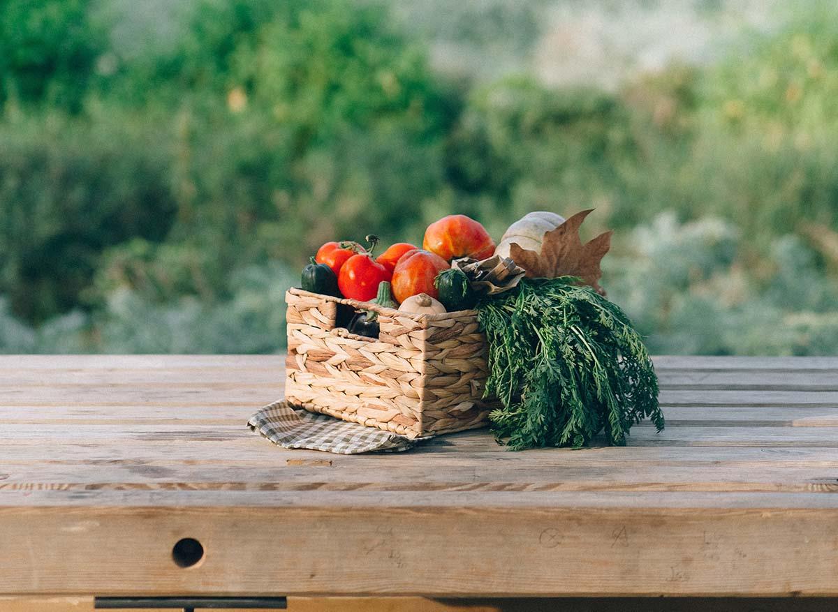 soluciones agroalimentaria