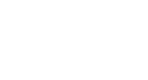 Analytikus