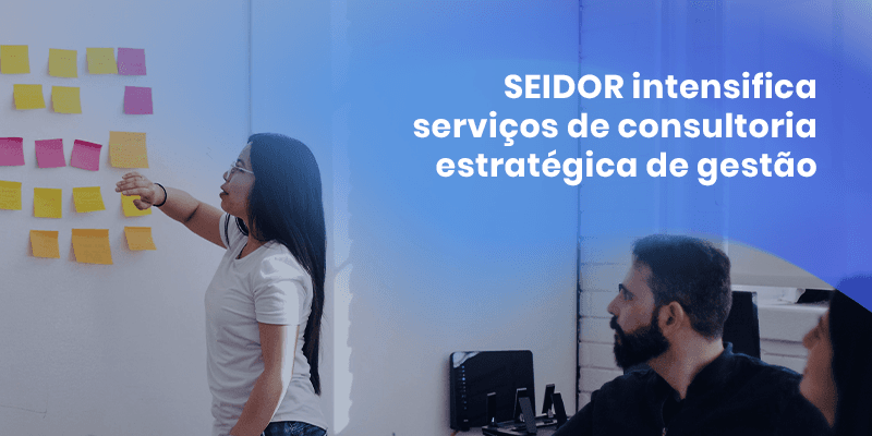 seidor management consulting