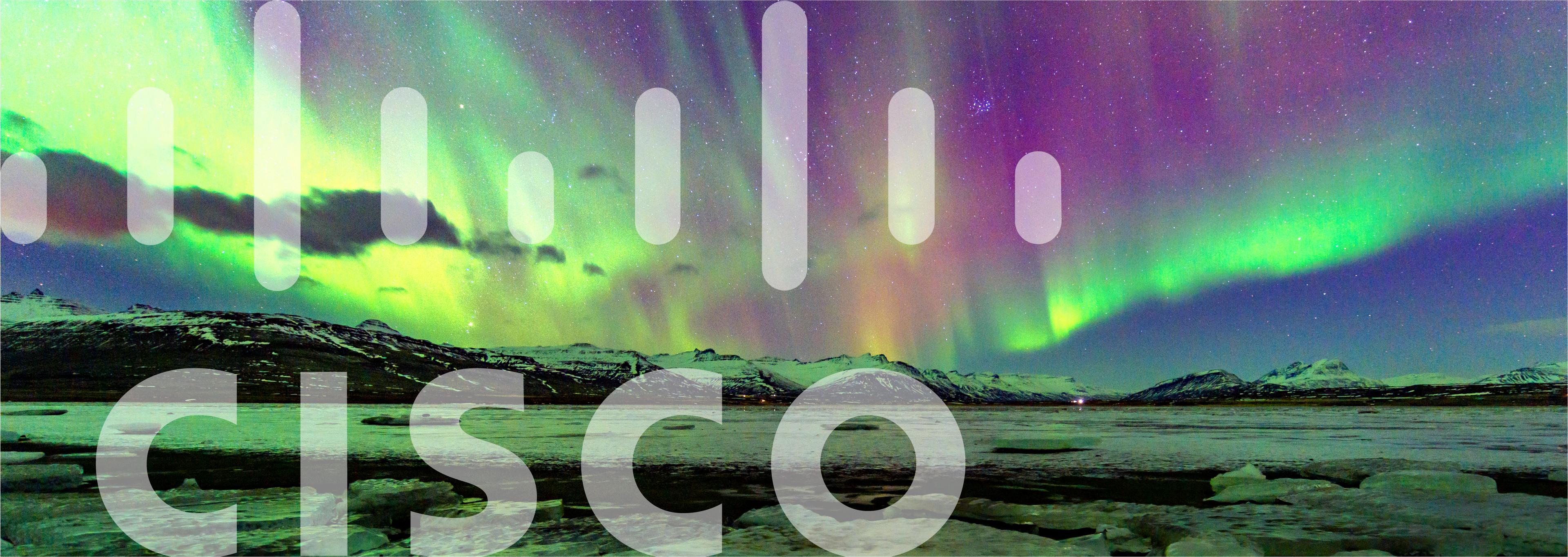 partner cisco
