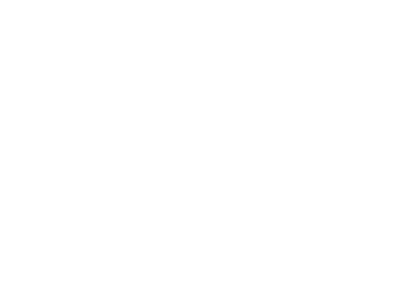 data_iku_white_partner_logo