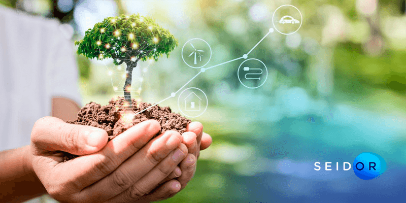 domani global plataforma