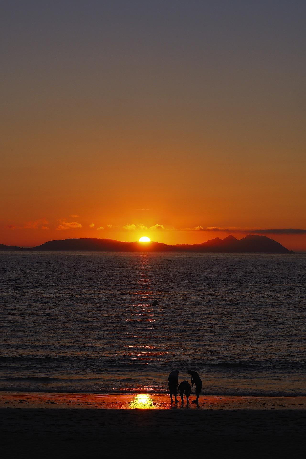 VIGO