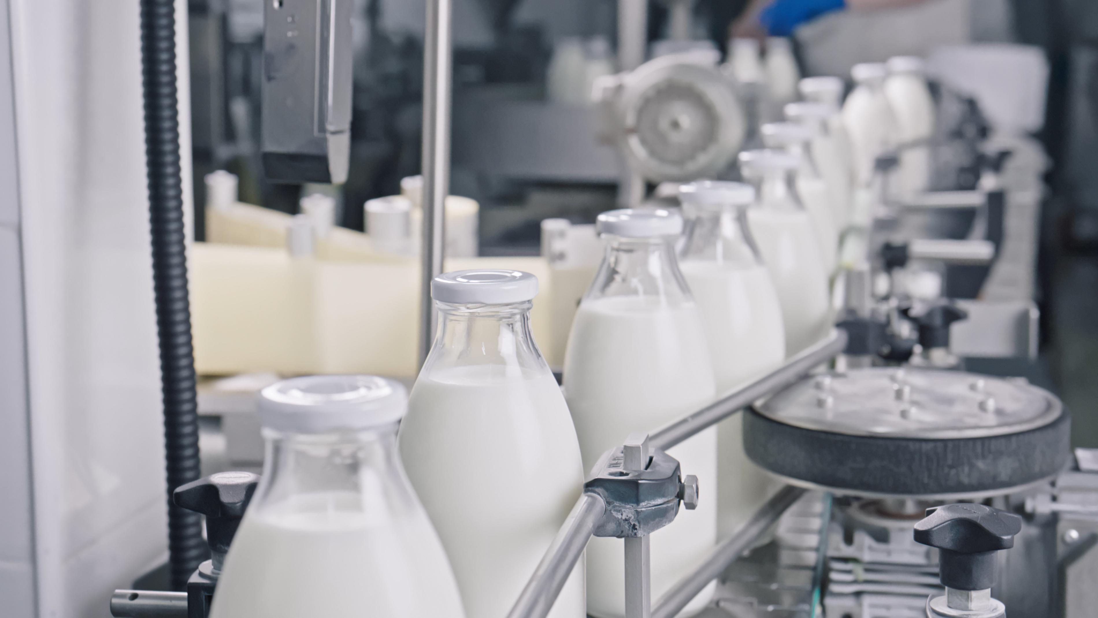 envasado botella láctea